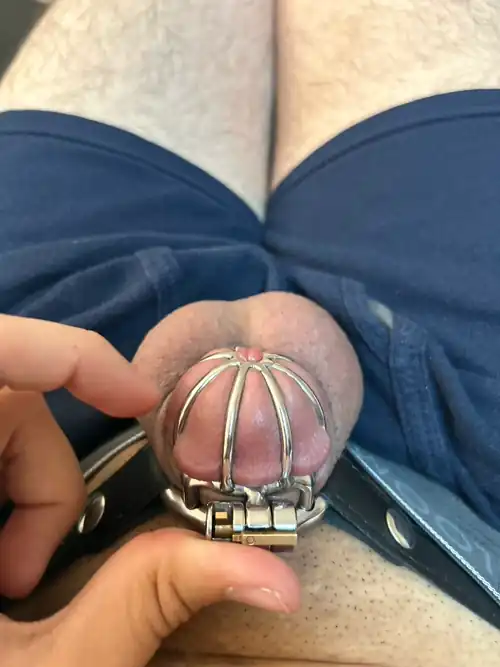 Thankfully my cage is keeping my little member nice and secure.