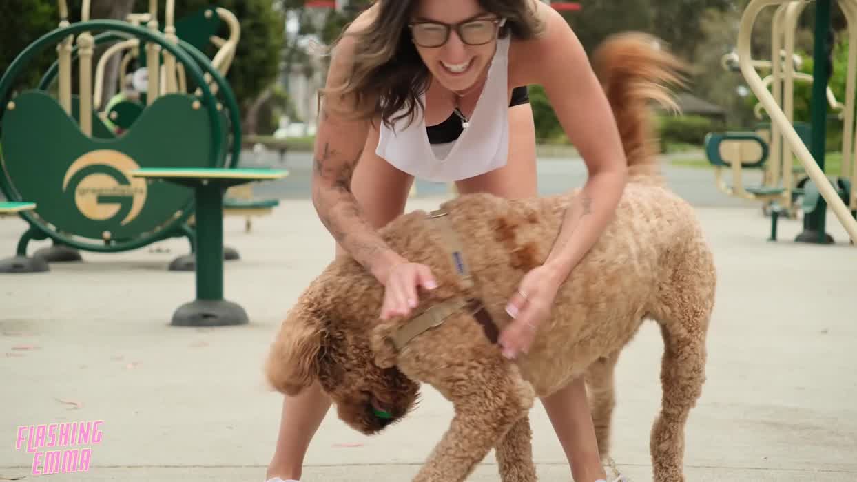 Scientists agree having a cute dog results in a 700% increase in female attention