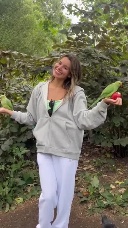 Feeding parrots July 2023