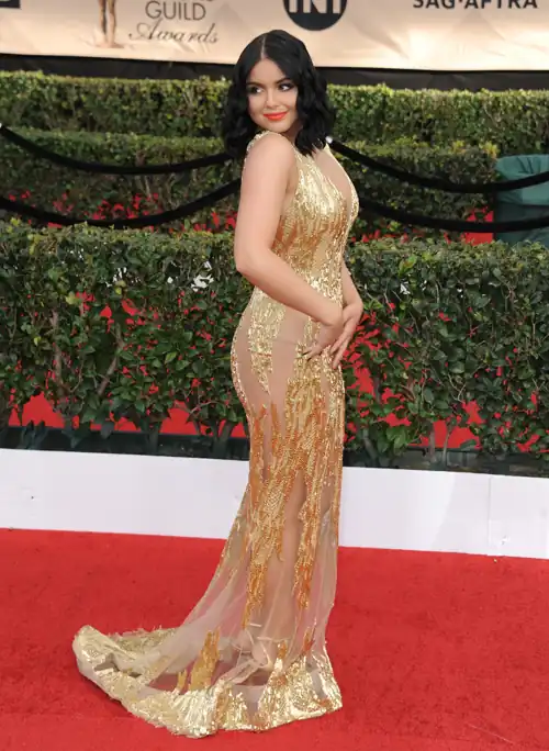 23rd Annual Screen Actors Guild Awards 29th January 2017