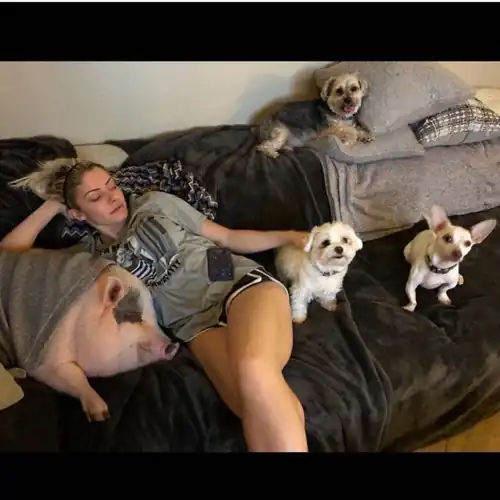 Bliss With Her Pets