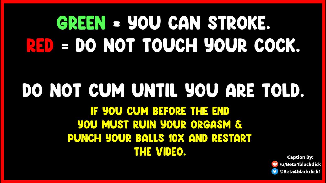 Whiteboi Training! Red Light/ Green Light!