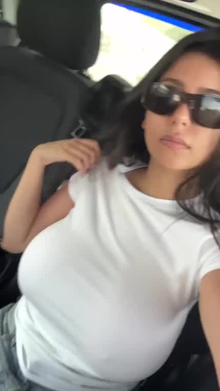 Car Boobies