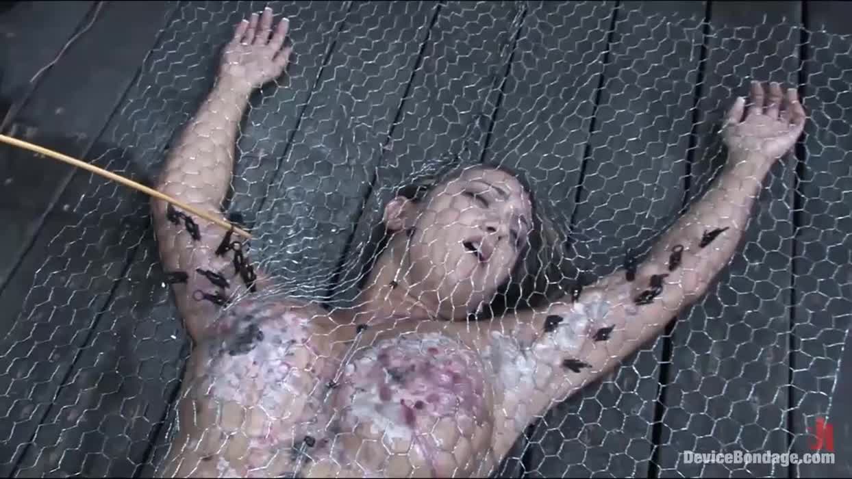 Peeling the clamps off a caged whore