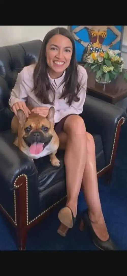 legs