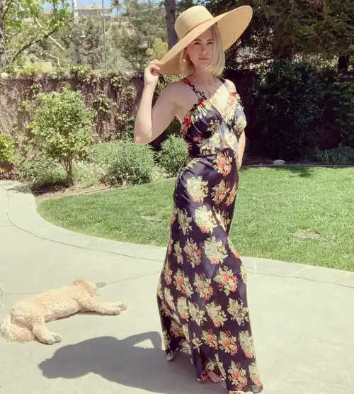 The Dog And The Dame