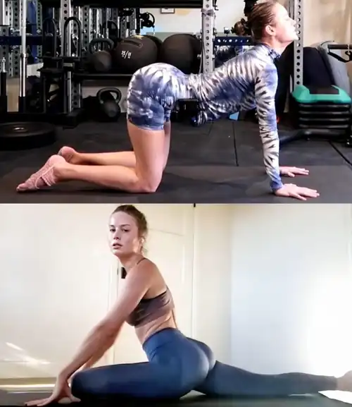 Workout Brie is top tier