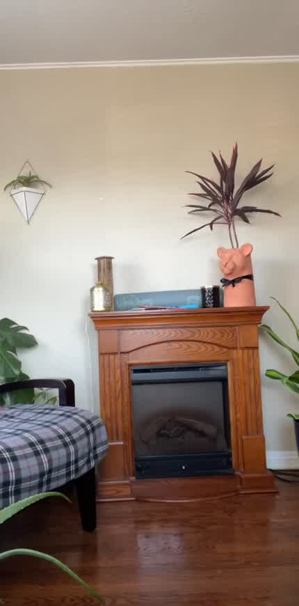 Covid caused me to engage in flashing my neighbors since I can't do it outside