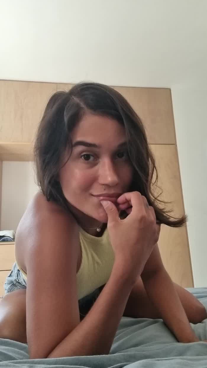 Colombian x Frenchie 