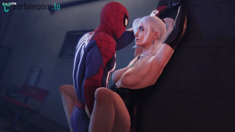 Black cat and spider man