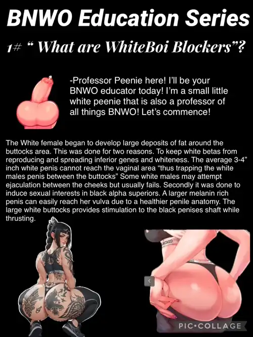 The evolution of the white female for black male.
