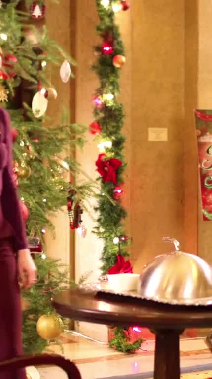 Hotel for the Holidays.