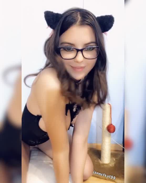 This Kitty Says Hi!