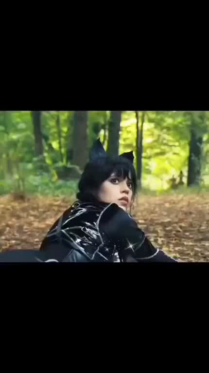 Nice kitty