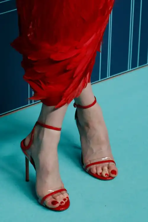 Close-up