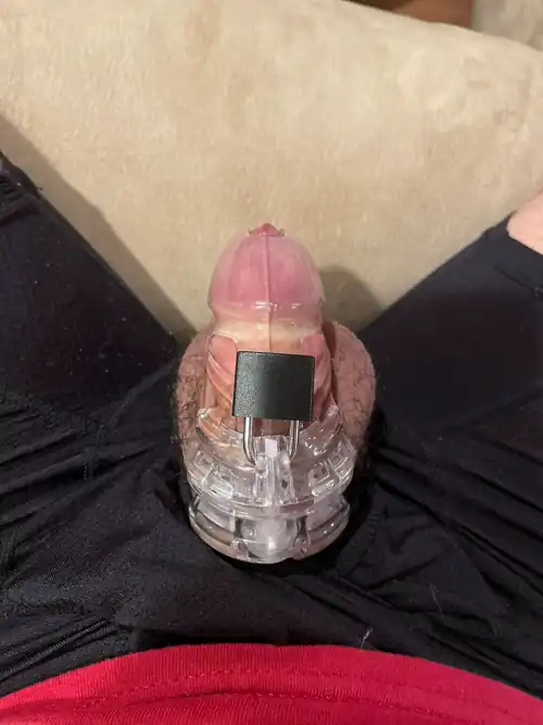 I’ve been nowhere near a pussy (19m)