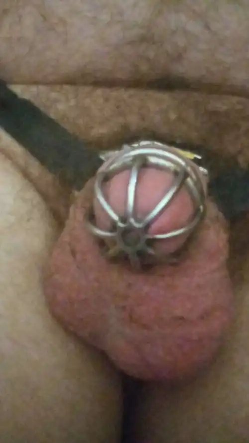 29 Years Old Virgin Locked