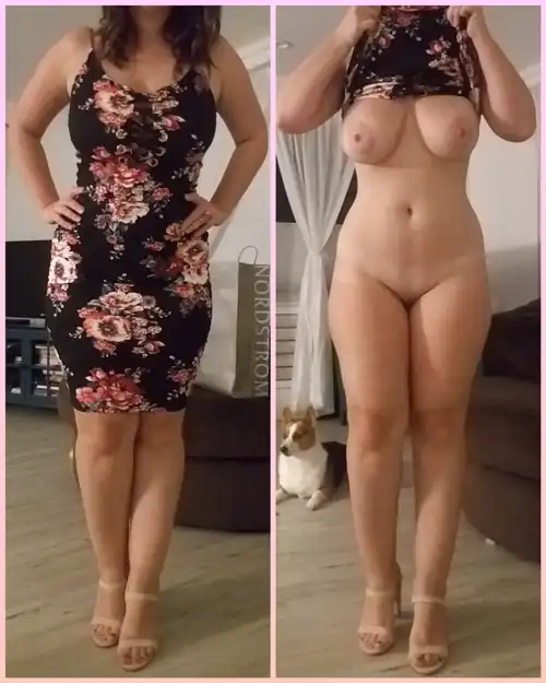 Are you here [f]or the tits or the Corgi?