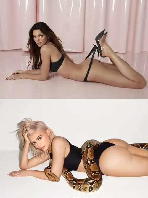 Kendall or Kylie Jenner?