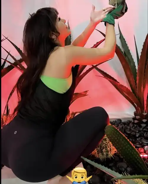 Wow I love this view of her sexy ass I want put my cock in there so bad