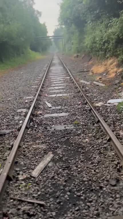 I’ll suck it anywhere he wants 