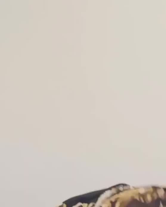 Small clip