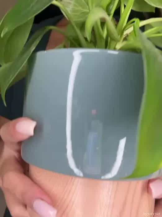 do you want to show me what you’re hiding?