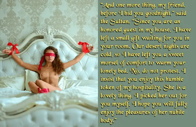 Harem hospitality