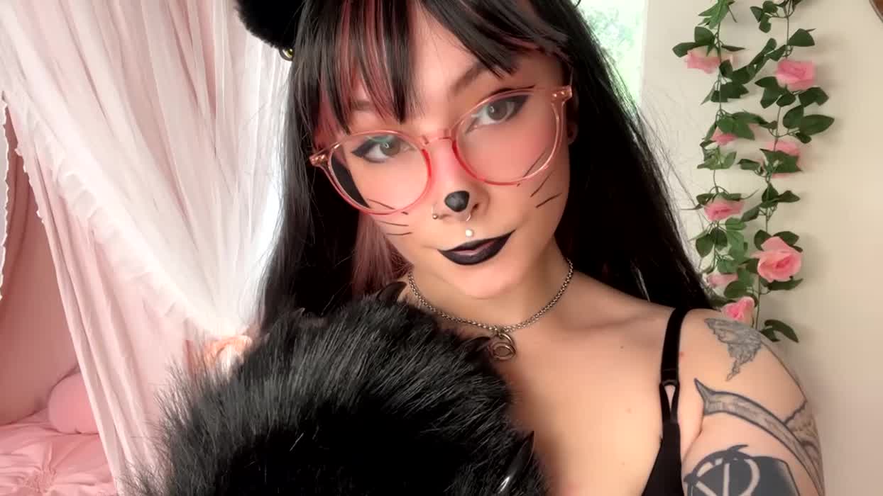 Meow 