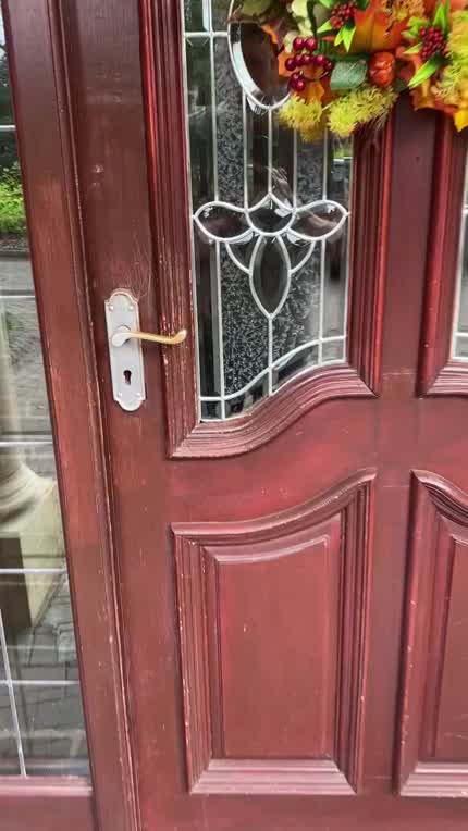 [MF] After a hard day at work, how I greet my man home