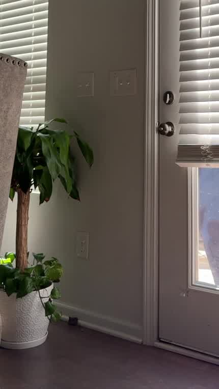 My husband was on a work trip, and  like any bored wife, I felt like being a little attention whore for my delivery boy… 