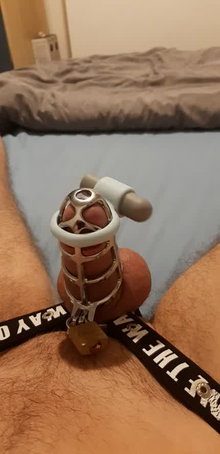 3 weeks caged cum