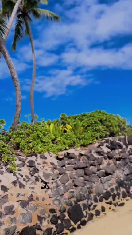 Hawaii vacation