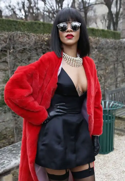 Dior Fashion Show,2014