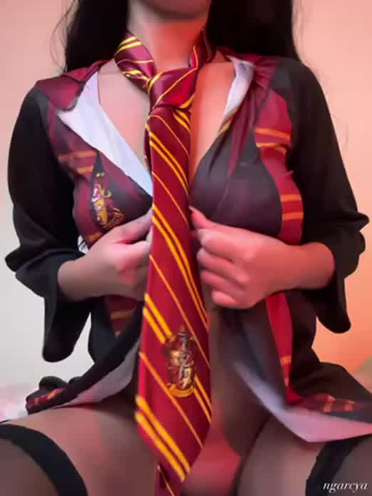 GRYFFINDOR WINS!