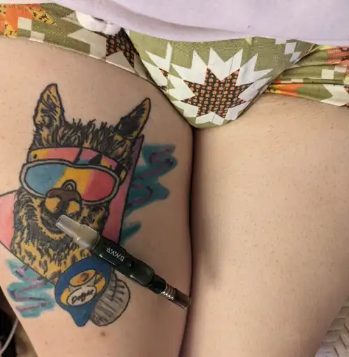 Party Alpaca says "Perhaps!" to drugs 😋 (nb)