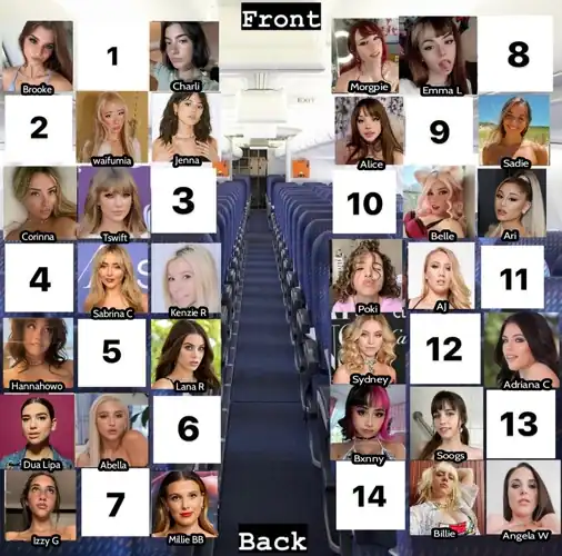 You are on an Airplane for 8 hours with a mix of celebrities, egirls, and pornstars!! And you have the freedom to strip off all those clothes and fucking GOON at your seat of choice :3 Where are you sitting?? ✨️