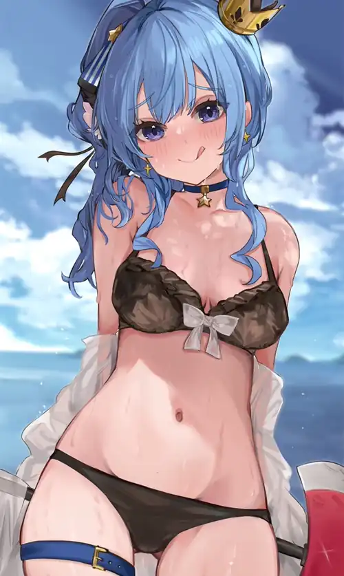 Suisei's Swimsuit [Hololive]