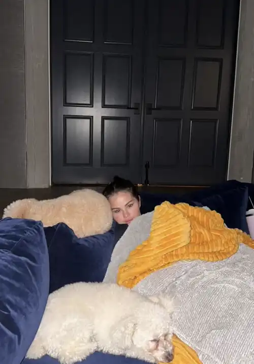 Selena via instagram stories | August 2024