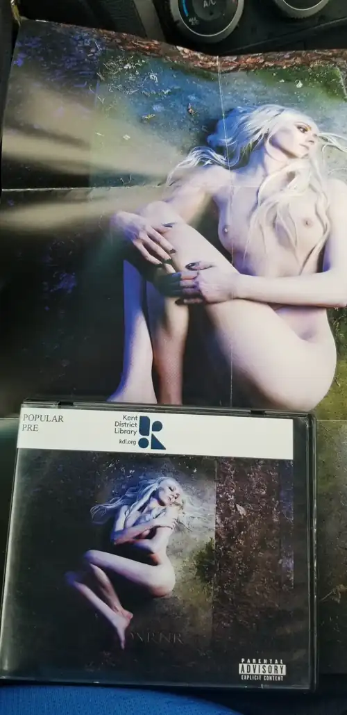 Hey ! Check it out. My local library kept the mini poster / insert in circulation