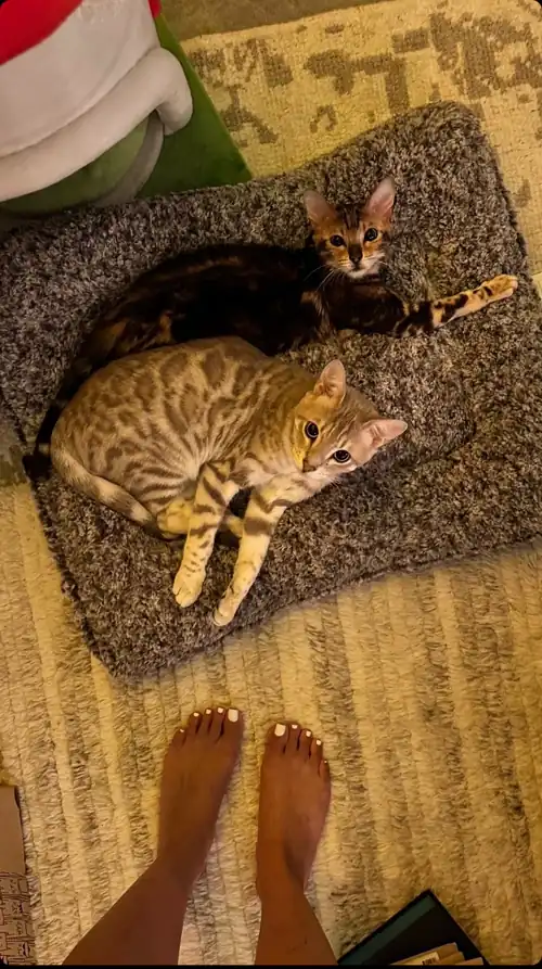 Mia Feet🤤 She loves us