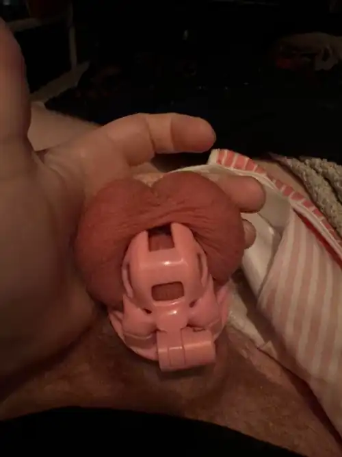 Daddy said to post some more of my cute little cage it also seems I’m going to be posting more of myself in diapers and my cage and such