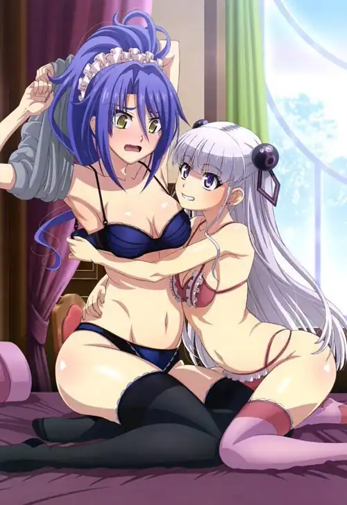 Maria and Kurumi [The Testament of Sister New Devil]