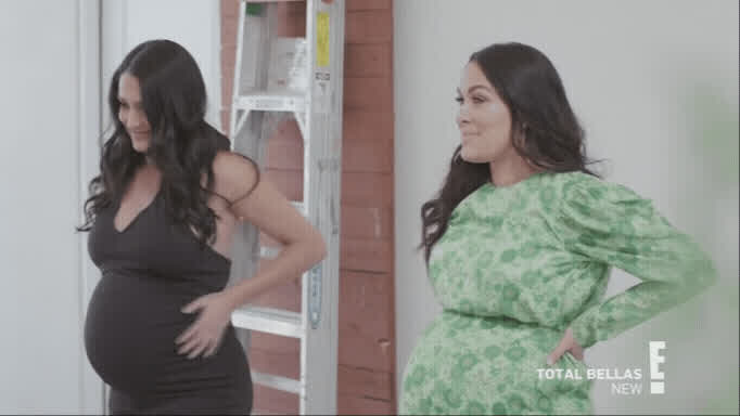 Bella Twins pregnant