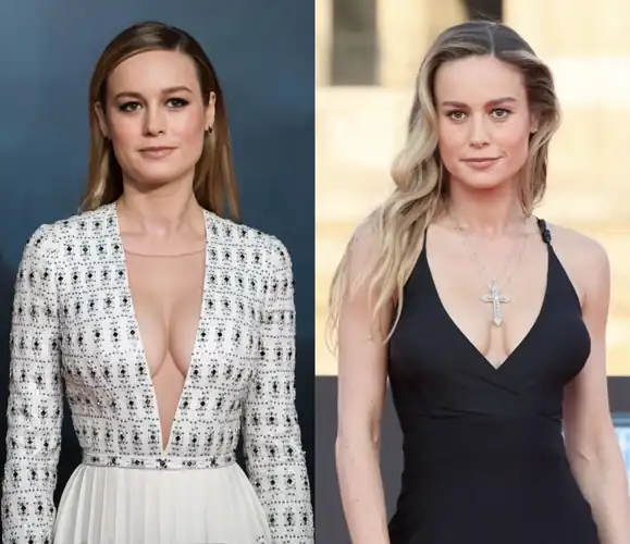 Favorite Brie Look?