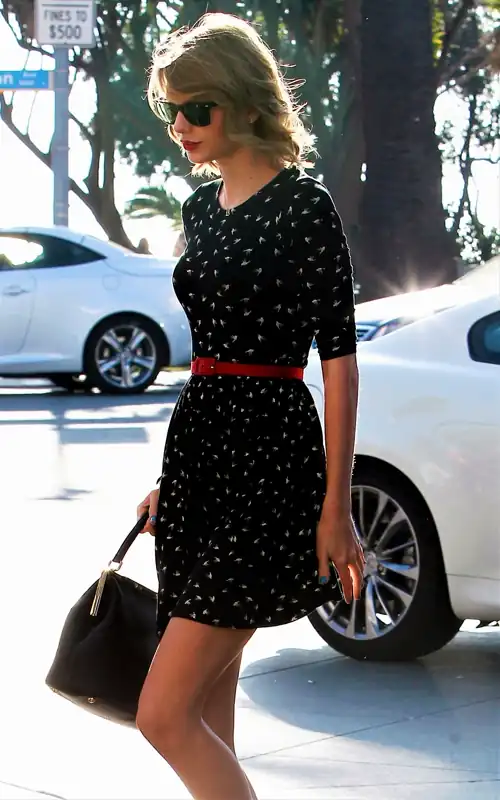 Taylor Swift Nice Dress