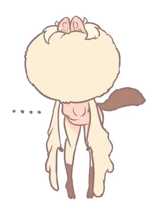 Inflation...literaly