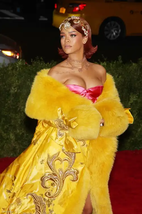 Met Gala,2015