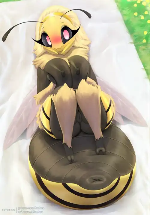 B [F]