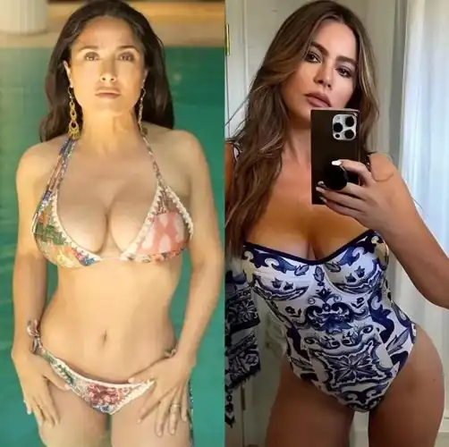 when we are talking slutina milfs, i think we can all agree that Salma Hayek and Sofia Vergara comes before all the rest. Which of these mommies is your fave, tho?